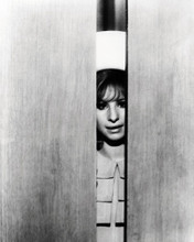 This is an image of Photograph & Poster of Barbra Streisand 198432
