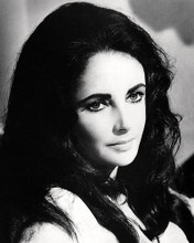 This is an image of Photograph & Poster of Elizabeth Taylor 198499