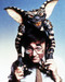 This is an image of Photograph & Poster of Gremlins 289822