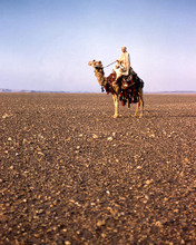 This is an image of Photograph & Poster of Lawrence of Arabia 289823