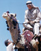 This is an image of Photograph & Poster of Lawrence of Arabia 289835