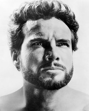 This is an image of Photograph & Poster of Steve Reeves 198341