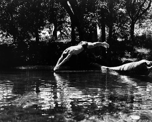 This is an image of Photograph & Poster of Johnny Weissmuller 198531