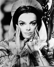 This is an image of Photograph & Poster of Barbara Steele 198582