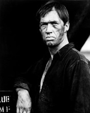 This is an image of Photograph & Poster of David Carradine 198733