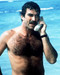 This is an image of Photograph & Poster of Tom Selleck 289982