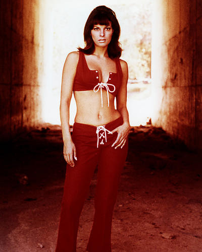 This is an image of Photograph & Poster of Raquel Welch 289987