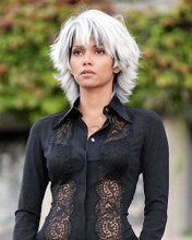 This is an image of Photograph & Poster of Halle Berry 289998