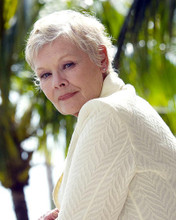 This is an image of Photograph & Poster of Judi Dench 290022