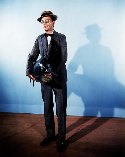 This is an image of Photograph & Poster of Don Knotts 290023