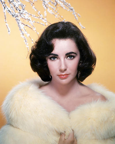 This is an image of Photograph & Poster of Elizabeth Taylor 289897
