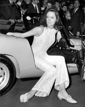 This is an image of Photograph & Poster of Diana Rigg 198688