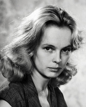 This is an image of Photograph & Poster of Sandy Dennis 198763