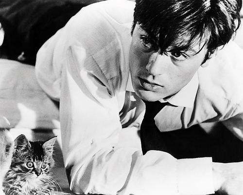 This is an image of Photograph & Poster of Alain Delon 198784
