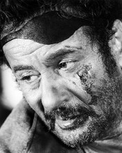 This is an image of Photograph & Poster of Eli Wallach 198821