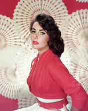 This is an image of Photograph & Poster of Elizabeth Taylor 289931