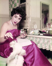 This is an image of Photograph & Poster of Elizabeth Taylor 290048