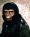 This is an image of Photograph & Poster of Roddy McDowall 290052