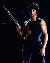 This is an image of Photograph & Poster of Sylvester Stallone 290065