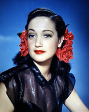 This is an image of Photograph & Poster of Dorothy Lamour 290069
