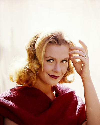 This is an image of Photograph & Poster of Elizabeth Montgomery 290072