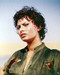 This is an image of Photograph & Poster of Sophia Loren 290075