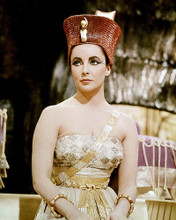 This is an image of Photograph & Poster of Elizabeth Taylor 290109