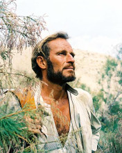 This is an image of Photograph & Poster of Charlton Heston 290144