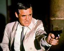 This is an image of Photograph & Poster of Cary Grant 290302