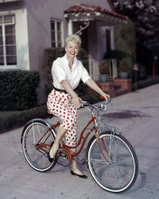This is an image of Photograph & Poster of Doris Day 290932