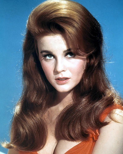 This is an image of Photograph & Poster of Ann-Margret 290938