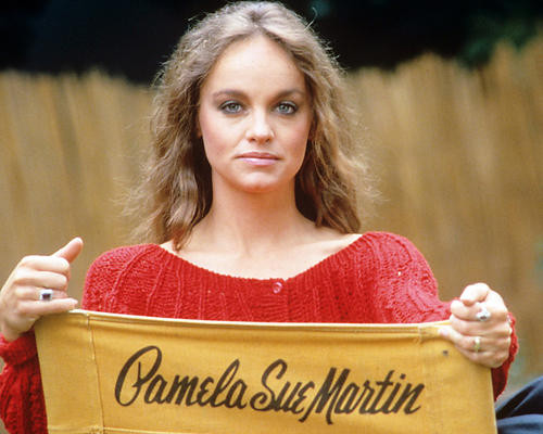 This is an image of Photograph & Poster of Pamela Sue Martin 290945