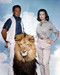 This is an image of Photograph & Poster of The Lion 290946