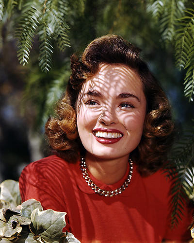This is an image of Photograph & Poster of Ann Blyth 290332