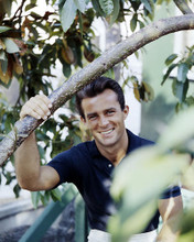 This is an image of Photograph & Poster of Robert Conrad 290335
