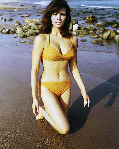 This is an image of Photograph & Poster of Raquel Welch 290357