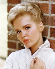 This is an image of Photograph & Poster of Tuesday Weld 290367