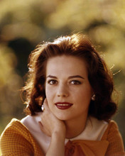 This is an image of Photograph & Poster of Natalie Wood 290398
