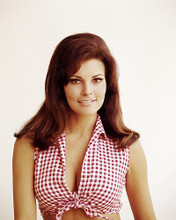 This is an image of Photograph & Poster of Raquel Welch 290415