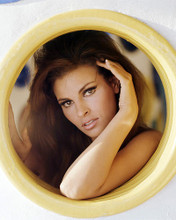 This is an image of Photograph & Poster of Raquel Welch 290417