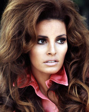 This is an image of Photograph & Poster of Raquel Welch 290424