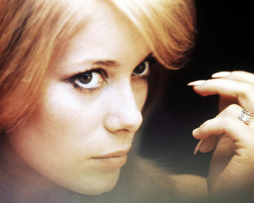 This is an image of Photograph & Poster of Catherine Deneuve 290468
