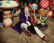 This is an image of Photograph & Poster of Gene Wilder 291089