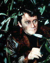 This is an image of Photograph & Poster of Robert Vaughn 291090