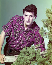 This is an image of Photograph & Poster of Rock Hudson 290479
