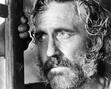 This is an image of Photograph & Poster of Jason Robards 199201