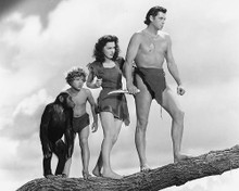 This is an image of 170771 Tarzan Photograph & Poster