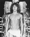 This is an image of 171752 Roger Daltrey Photograph & Poster
