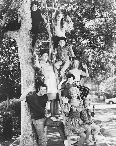 This is an image of 172446 The Brady Bunch Photograph & Poster