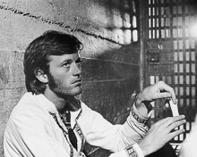 This is an image of 173157 Peter Fonda Photograph & Poster